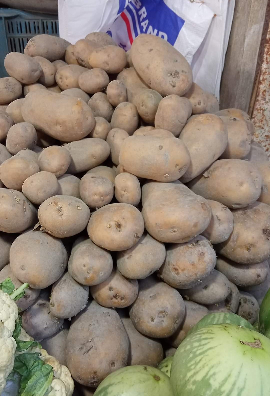 মুন্সীগঞ্জে আলুর মূল্য নিয়ে দুশ্চিন্তায় কৃষককূল 